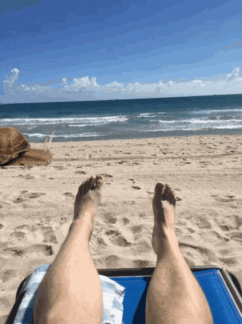 Sexy penis nude Ginger girls naked